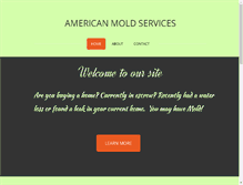 Tablet Screenshot of americanmoldservices.com